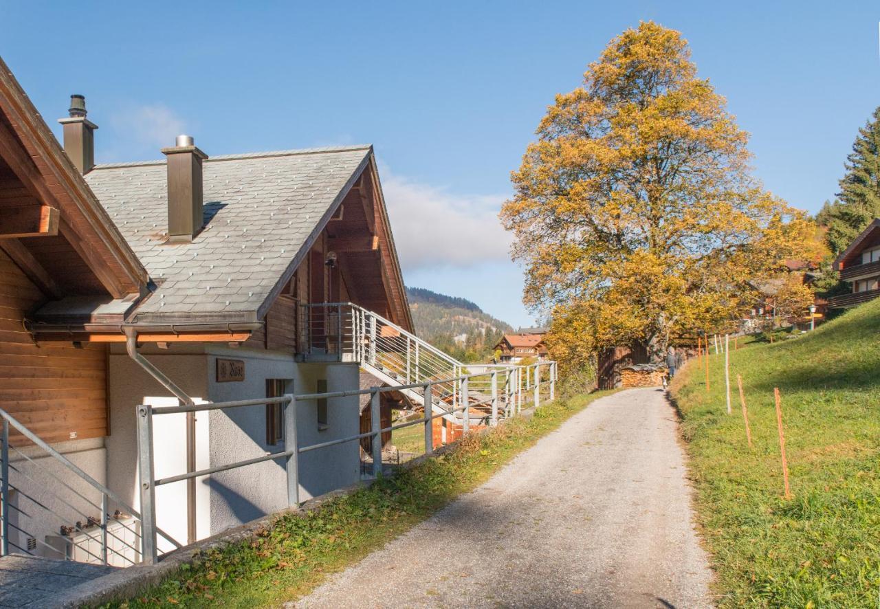 Chalet Rose Penthouse Wengen Exterior foto